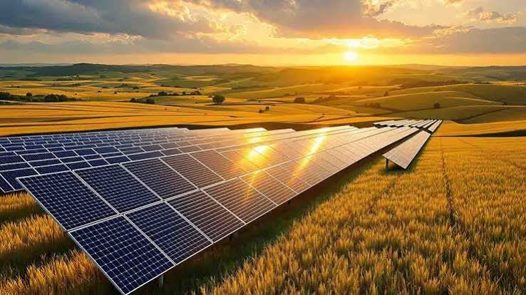 Solar panel farm in a golden wheat field at sunset, representing renewable energy and clean grid transition